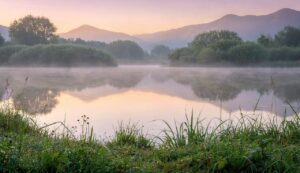 Chi tace raggiunge di più”: la scienza conferma che tenere per sé i propri obiettivi aiuta a realizzarli